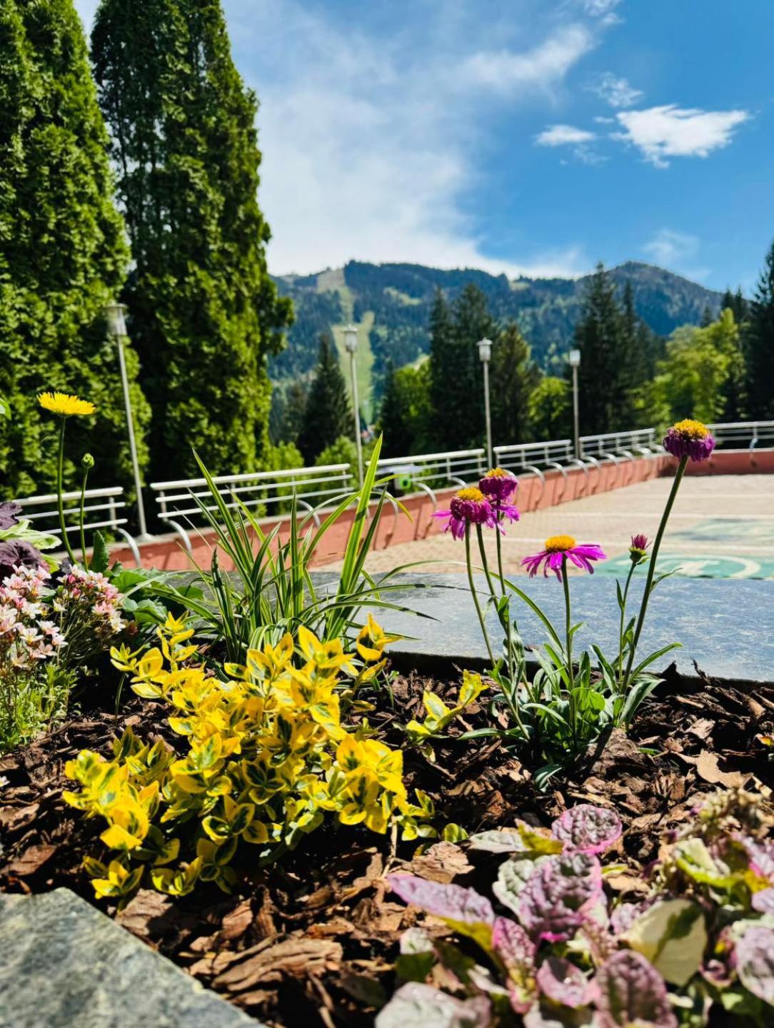 Hotel Piatra Mare Poiana Brașov Zewnętrze zdjęcie